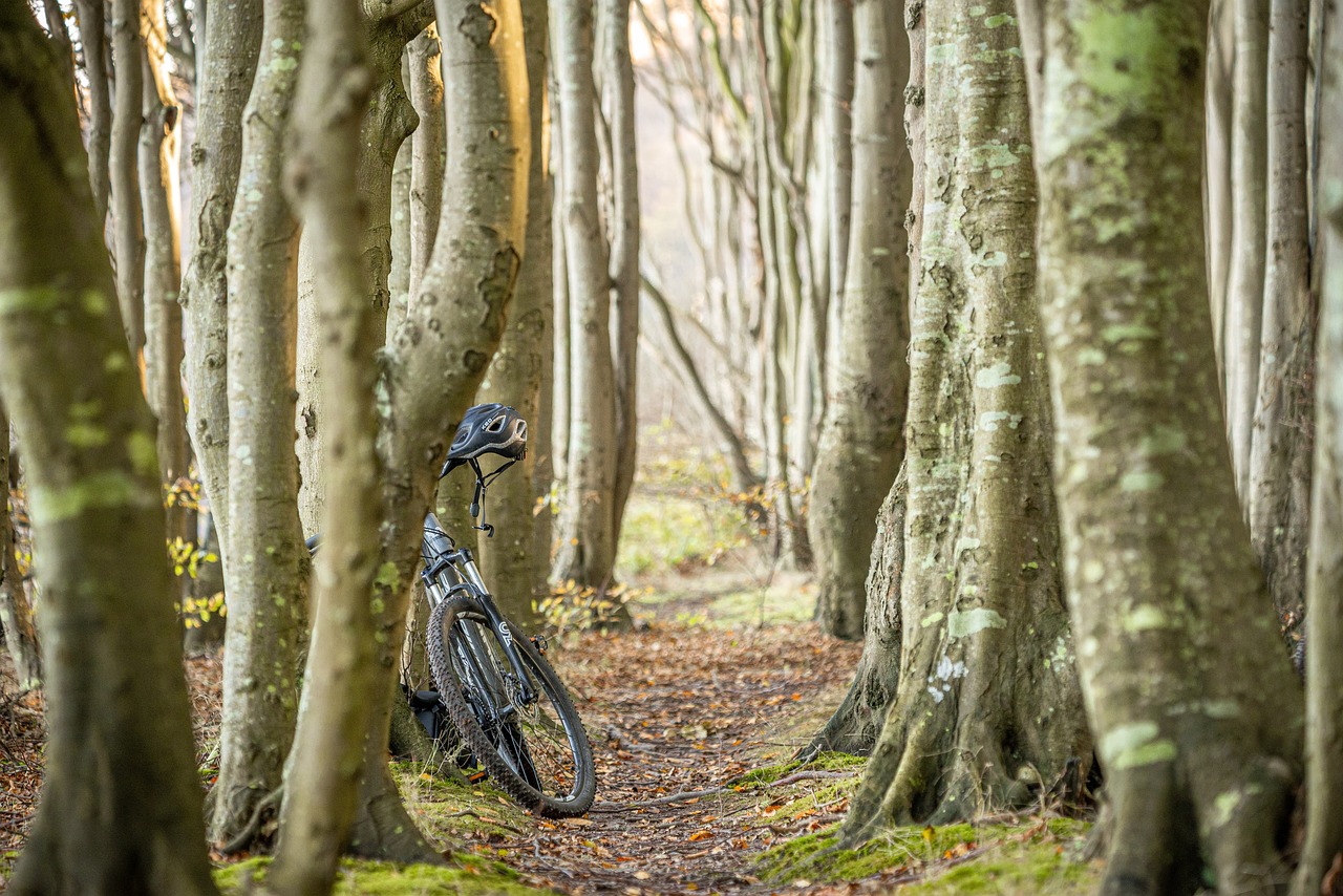 découvrez notre vélo électrique équilibré, parfait pour les enfants et les adultes. avec sa technologie avancée, il offre une expérience de conduite sécurisée et amusante, alliant confort et performance. idéal pour les balades en plein air, ce vélo allie design moderne et durabilité.