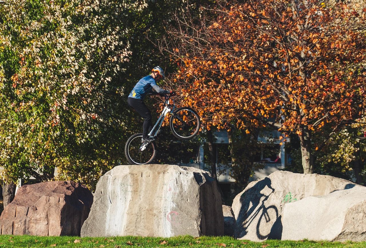 découvrez notre sélection de balance bikes, idéals pour apprendre l'équilibre dès le plus jeune âge et favoriser la motricité de votre enfant en toute sécurité.