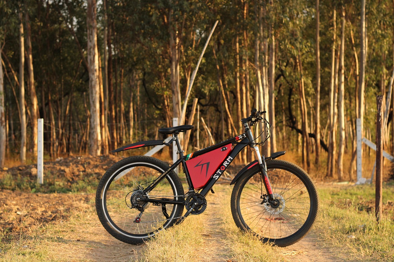 découvrez notre vélo électrique à équilibre, parfait pour les jeunes aventuriers ! alliant sécurité et fun, il permet d'apprendre à équilibrer avec facilité tout en profitant de balades en plein air. idéal pour développer la confiance en soi des enfants depuis leur plus jeune âge.