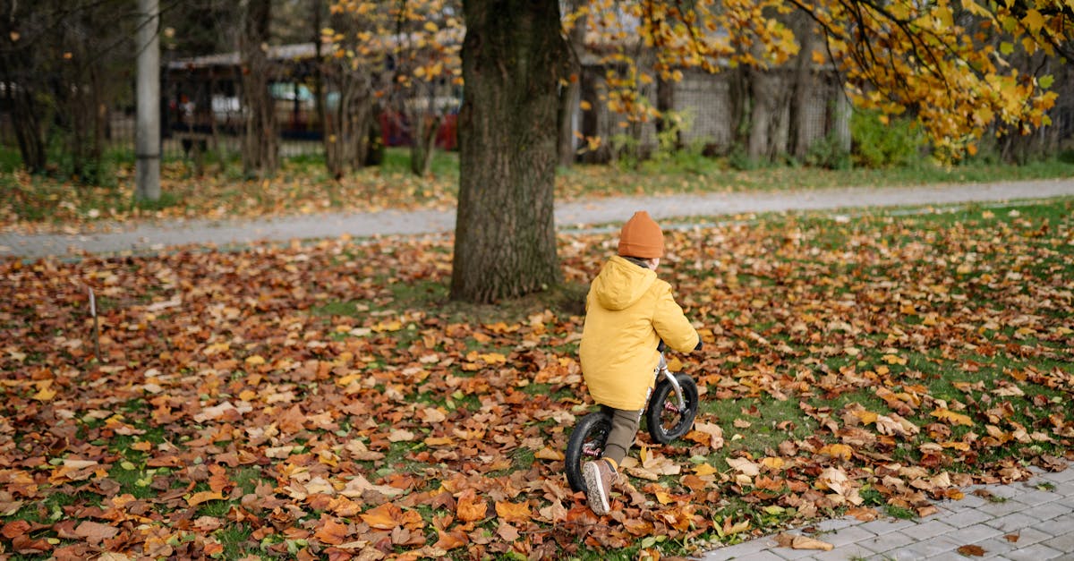 découvrez les avantages d'une balance bike pour aider votre enfant à développer son équilibre et sa coordination. un moyen ludique et pratique d'apprendre à faire du vélo dès le plus jeune âge.
