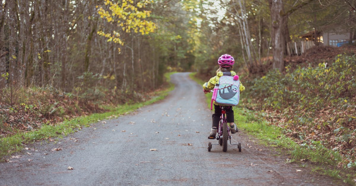 découvrez nos conseils essentiels pour assurer la sécurité de votre enfant sur une draisienne. apprenez les meilleures pratiques pour garantir une expérience agréable et sécurisée, tout en favorisant le développement de la motricité dès le plus jeune âge.