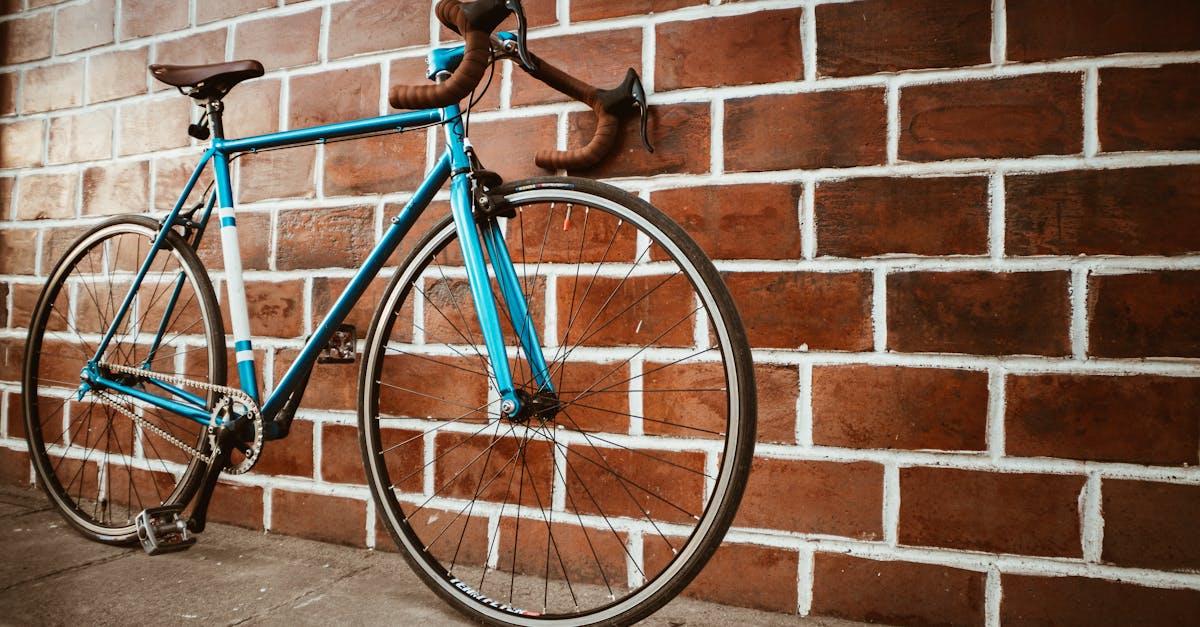 découvrez l'univers du vélo : conseils, itinéraires, équipements et bien-être à travers le cyclisme. transformez votre passion pour le bicyclette en une agréable aventure sur deux roues.