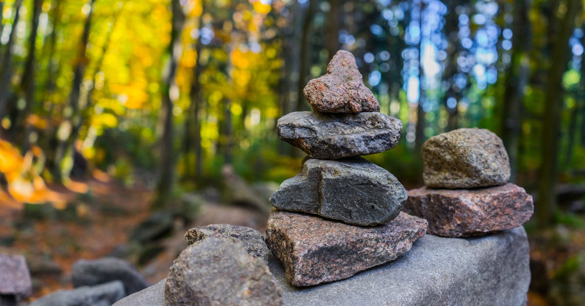 découvrez l'importance de la balance dans votre vie quotidienne. apprenez comment elle peut vous aider à maintenir un style de vie équilibré, à surveiller votre poids et à promouvoir votre bien-être général.