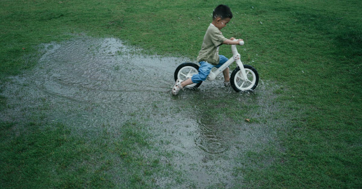 découvrez la balance bike, un excellent moyen d'initier les jeunes enfants à l'équilibre et à la mobilité. amusante et sécuritaire, cette draisienne sans pédales favorise le développement des compétences motrices tout en offrant une expérience de jeu enrichissante.