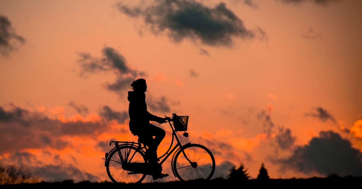 découvrez notre vélo d'équilibre durable, conçu pour allier praticité et respect de l'environnement. offrez à votre enfant une expérience d'apprentissage en douceur tout en contribuant à la protection de la planète grâce à des matériaux écologiques et un design moderne.