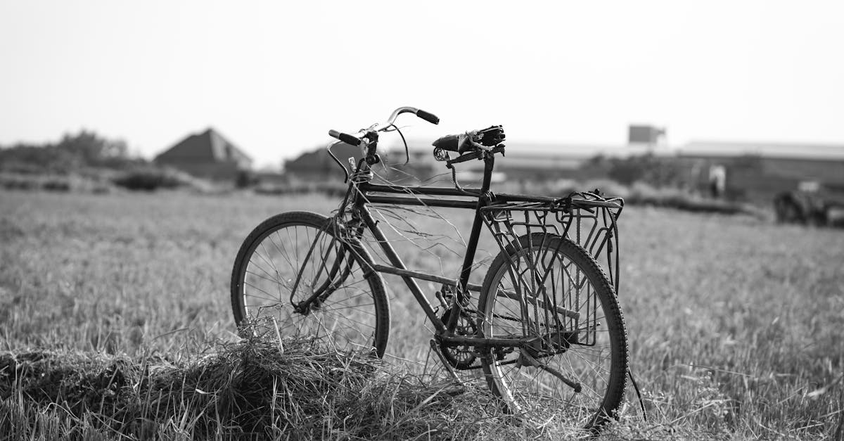 découvrez comment participer activement à la culture du cyclisme. rejoignez des événements, des groupes locaux et partagez votre passion pour le vélo avec une communauté engagée. que vous soyez un cycliste débutant ou expérimenté, il y a une place pour vous dans l'univers du bike participation.