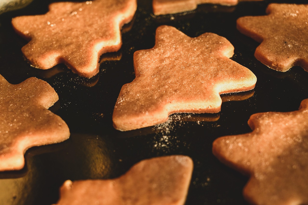 préparez votre draisienne pour des aventures en toute sécurité avec nos conseils pratiques et astuces essentielles.