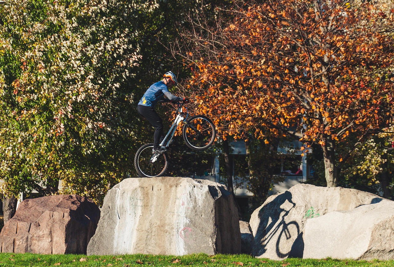 découvrez notre sélection de balance bikes, idéals pour apprendre l'équilibre dès le plus jeune âge et favoriser la motricité de votre enfant en toute sécurité.