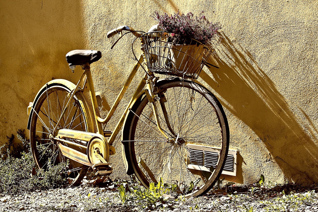 d&eacute;couvrez nos roues pour draisiennes, parfaites pour offrir stabilit&eacute; et confort &agrave; votre enfant lors de ses premi&egrave;res aventures &agrave; v&eacute;lo.